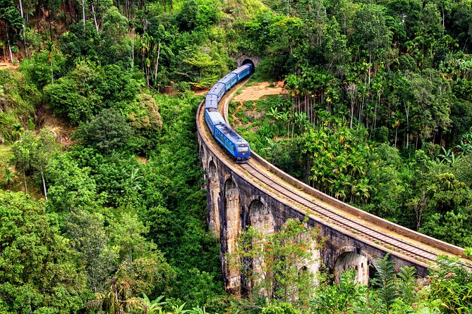 1 Day Ella Scenic Tour